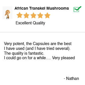 Testimonial 1