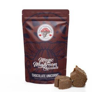 Buy Magic Mushroom Chocolate
