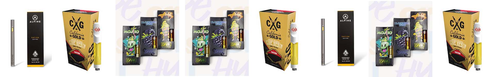 African Transkei Mushroom