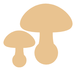 shroomsandvapes.co.uk